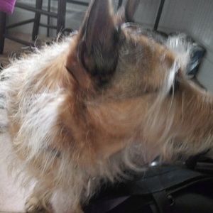 Meet your Posher, Paul